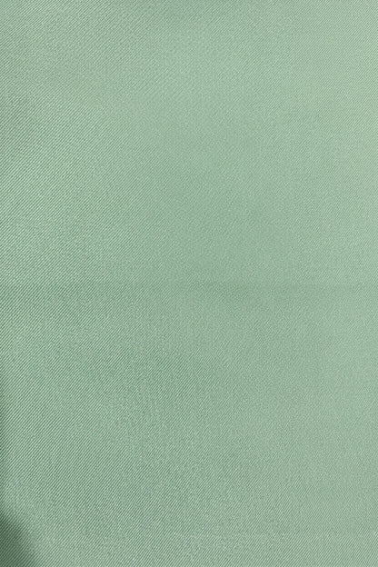 Solid Pale Sage Green color swatch fabrics